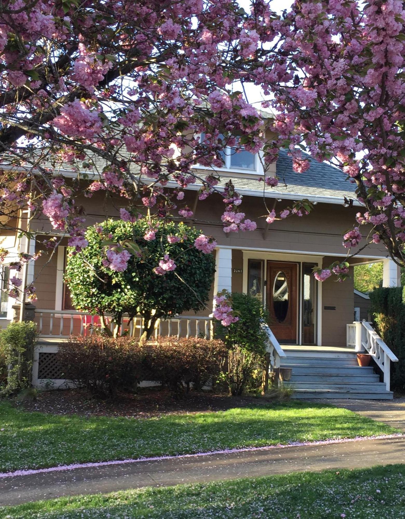 Southeast Portland Comfy & Eclectic Craftsman Home Dış mekan fotoğraf