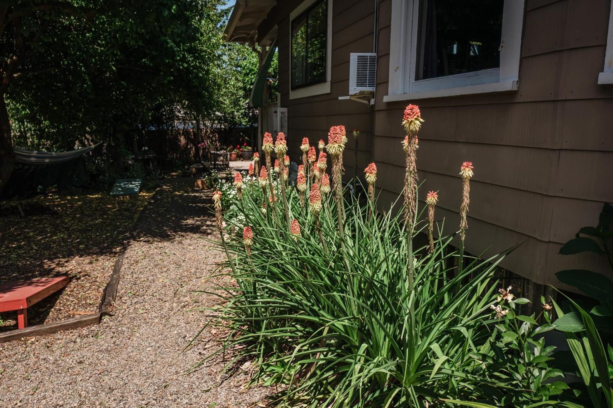 Southeast Portland Comfy & Eclectic Craftsman Home Dış mekan fotoğraf